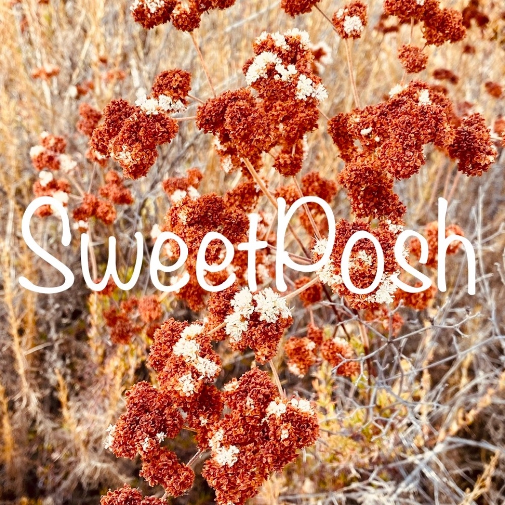 Meet your Posher, SweetPosh